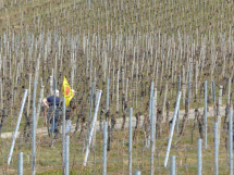  Fukushima - keine Entwarnung! | Demo Neckarwestheim 08.03.2015