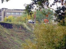  Sonntagsspaziergang Neckarwestheim, 04.10.2015