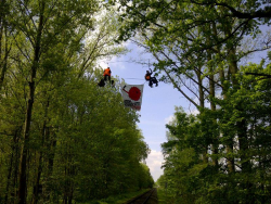 Weiterlesen: Uranzug aus der UAA Gronau fast 8 Stunden gestoppt