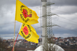 Weiterlesen: Rückblick zum ersten Sonntagsspaziergang des...