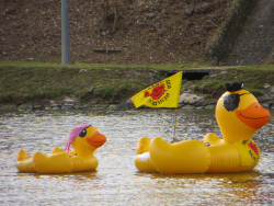 Weiterlesen: Keine CASTOR-Transporte auf dem Neckar!