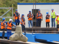Weiterlesen: Nächster CASTOR-Transport in Vorbereitung
